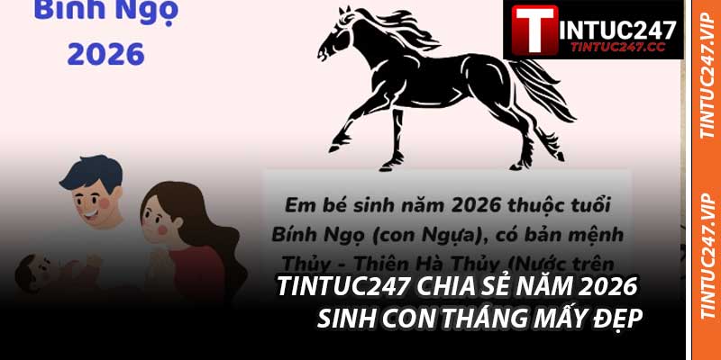 Tintuc247 Chia Sẻ Năm 2026 Sinh Con Tháng Mấy Đẹp