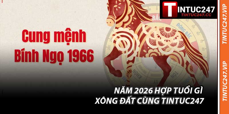 Bính Ngọ Thuộc Ngũ Hành Gì - Mệnh Con Ngựa Năm 2026