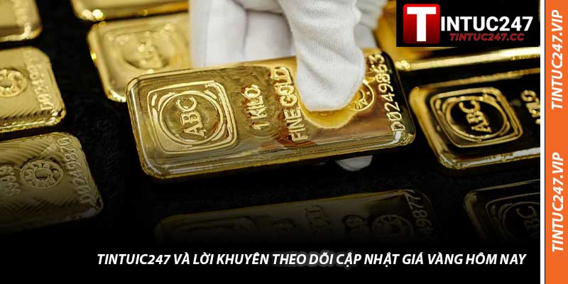 Tintuic247 Và Lời Khuyên Theo Dõi Cập Nhật Giá Vàng Hôm Nay