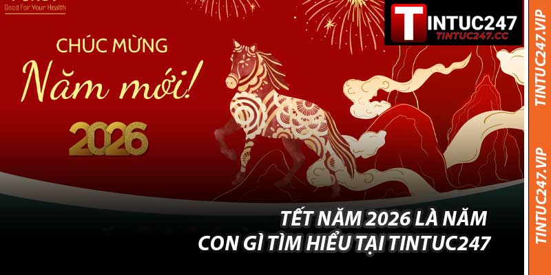 Tết Năm 2026 Là Năm Con Gì Tìm Hiểu Tại Tintuc247