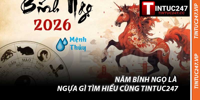 Năm Bính Ngọ Là Ngựa Gì Tìm Hiểu Cùng Tintuc247