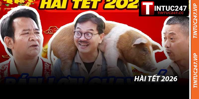 Hài Tết 2026 - Những Chương Trình Hot Tintuc247 Cập Nhật