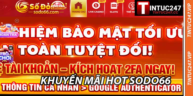 Khuyến Mãi Hot Sodo66 - Ưu Đãi Cháy Khét Cùng Tintuc247