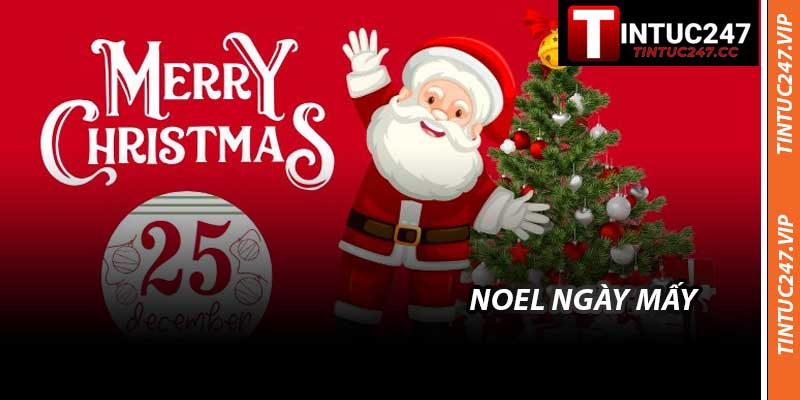Noel Ngày Mấy - Thông Tin Chính Thức Uy Tín Ở Tintuc247