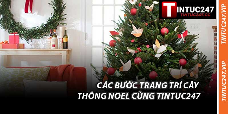 Các Bước Trang Trí Cây Thông Noel Cùng Tintuc247
