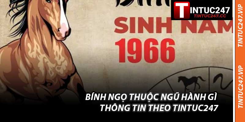 Bính Ngọ Thuộc Ngũ Hành Gì Thông Tin Theo Tintuc247