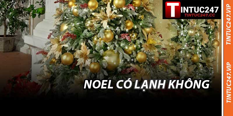 Noel Có Lạnh Không Cùng Thông Tin Tintuc247